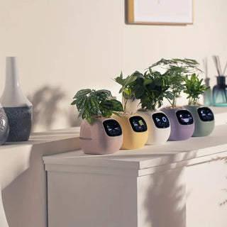 Plants IO-Ivy Electronic Pet