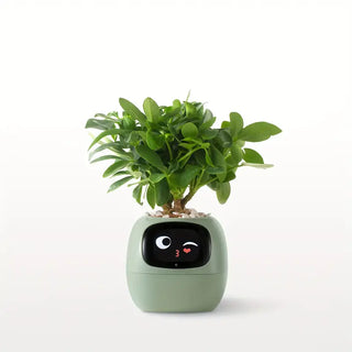 Plants IO-Ivy Electronic Pet